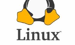 Featured image of post Linux